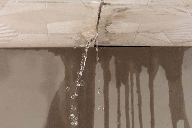 Professional Water Damage Repair technician working in Naselle, WA
